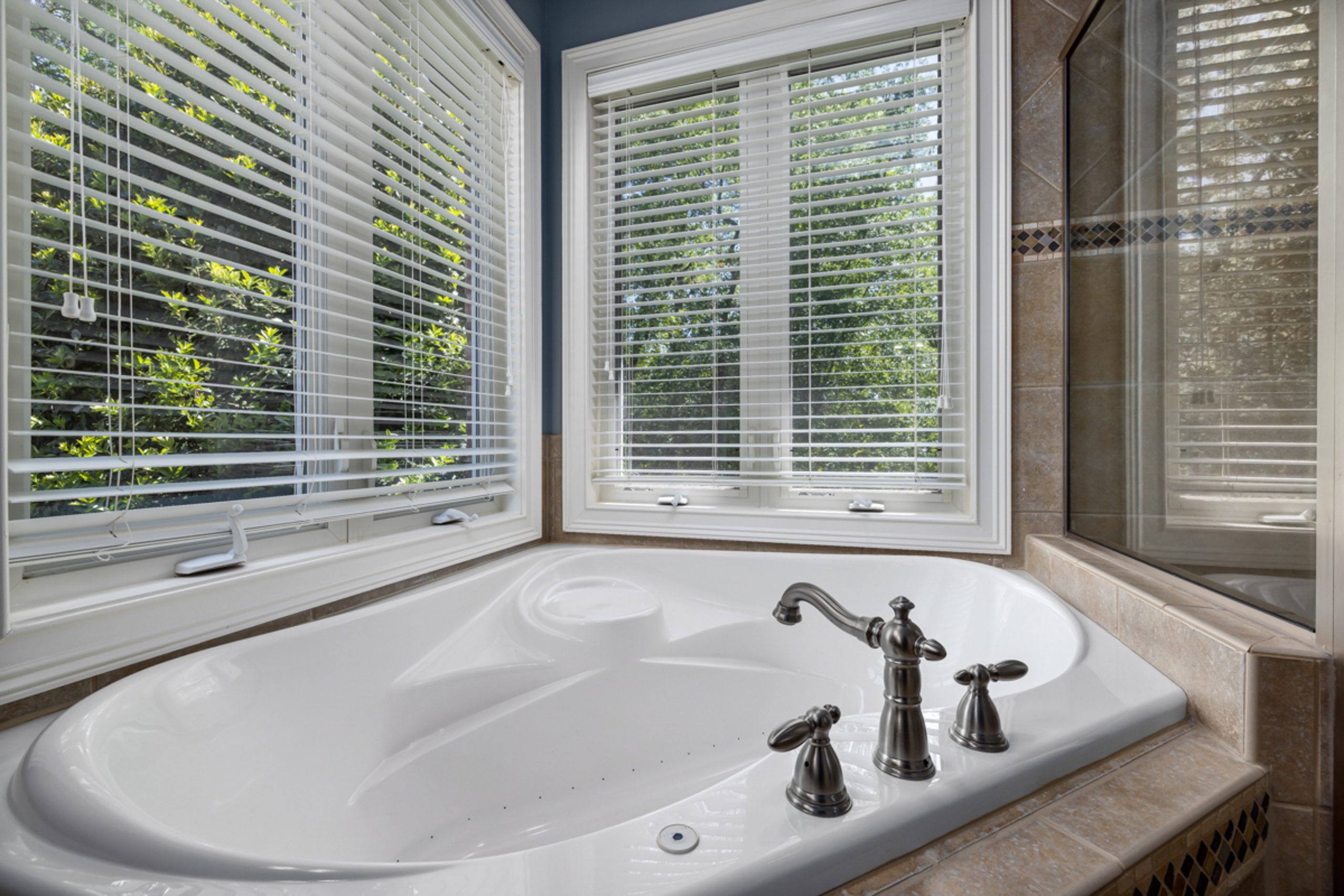 Bathroom Blinds